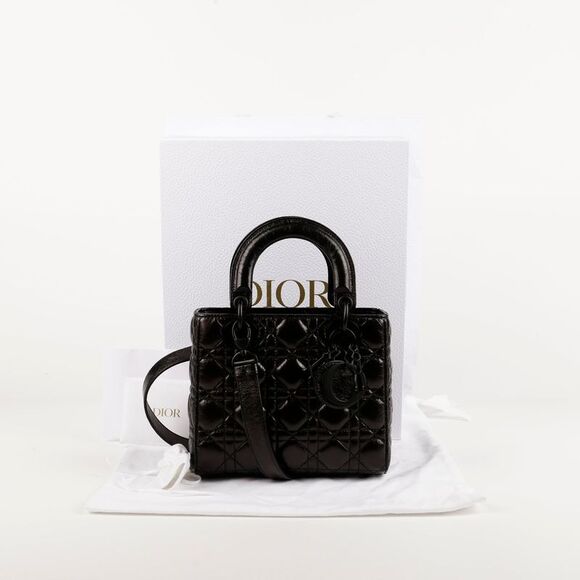 Dior Handbags - Ladies Small Tote And Shoulder Bag